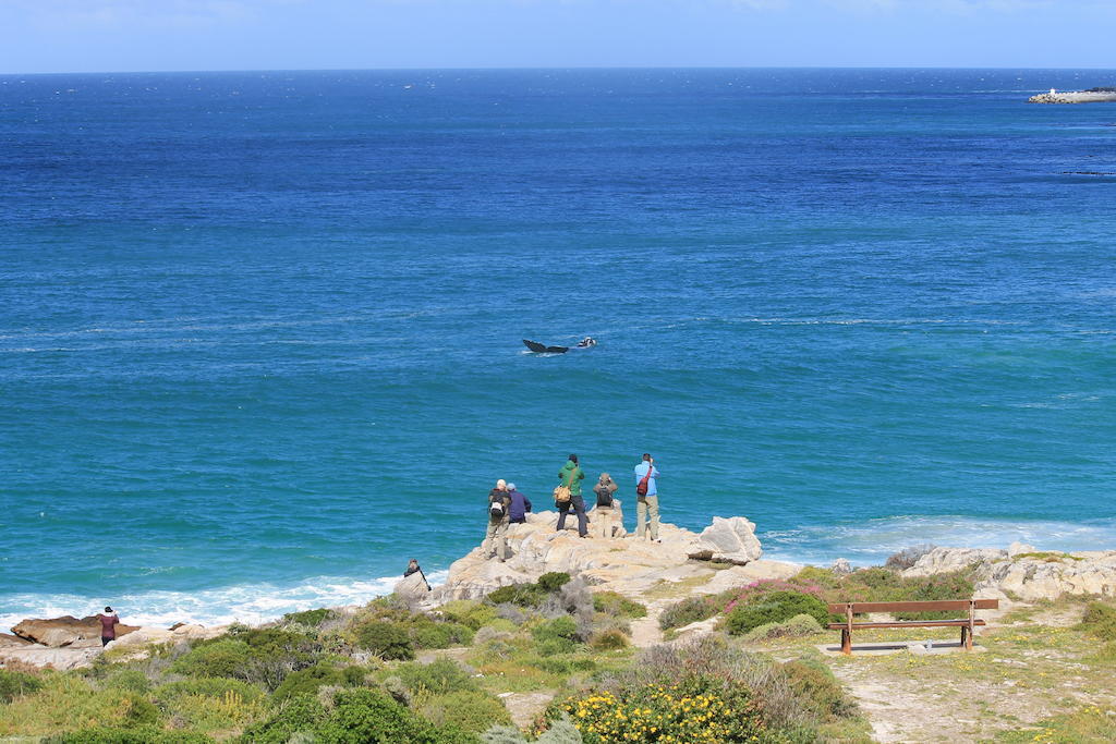Windsor Hotel Hermanus Kültér fotó
