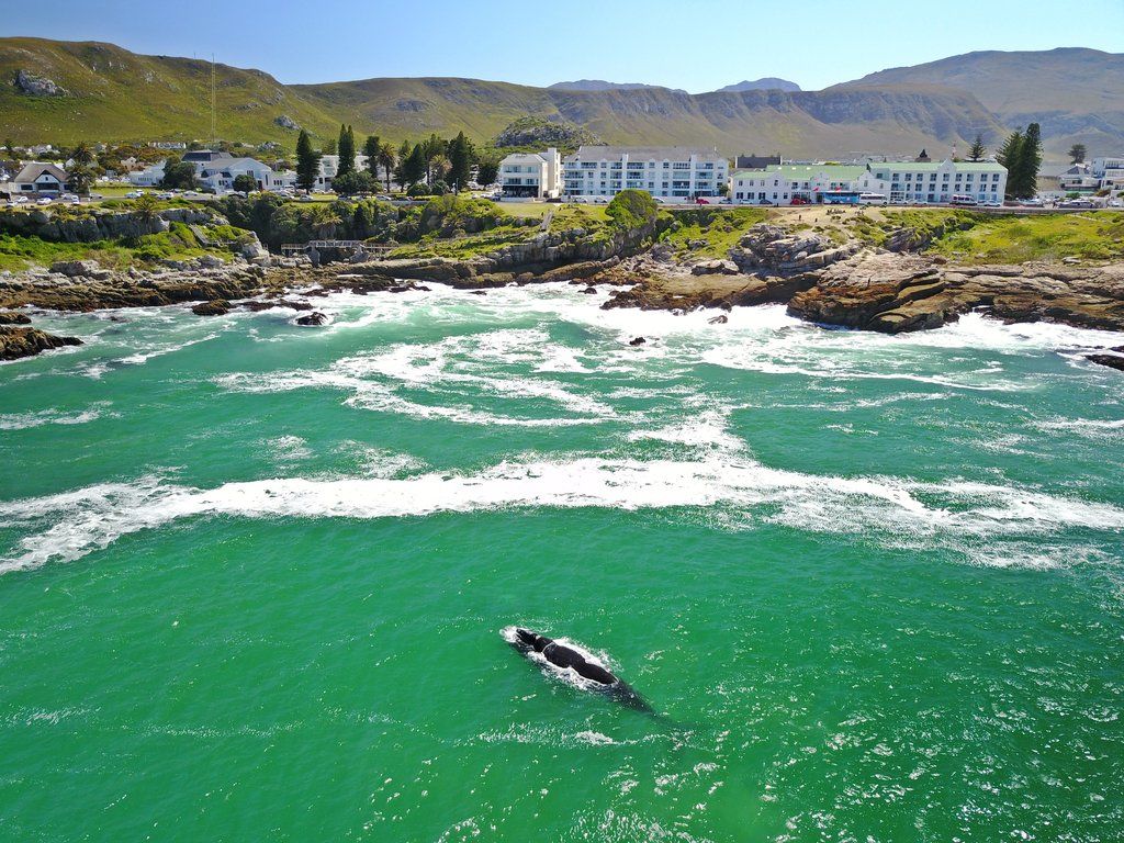 Windsor Hotel Hermanus Kültér fotó